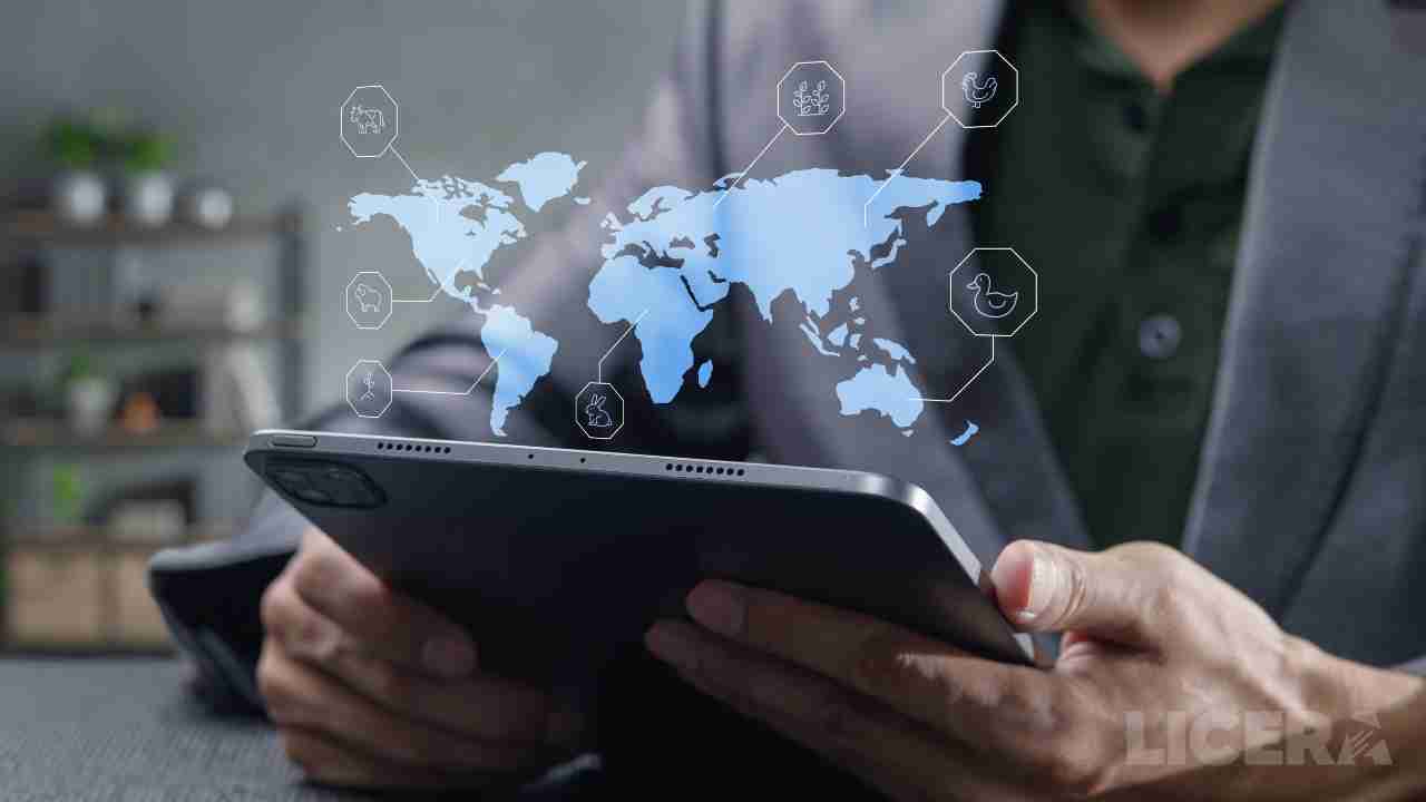 content creators in nation-building